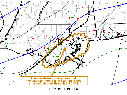 Mesoscale Discussion 214