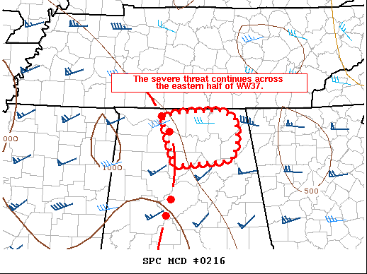 Mesoscale Discussion 216