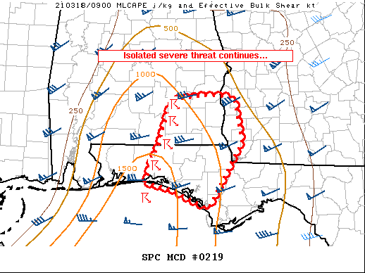 Mesoscale Discussion 219