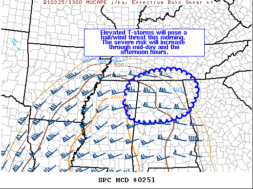 Mesoscale Discussion 251