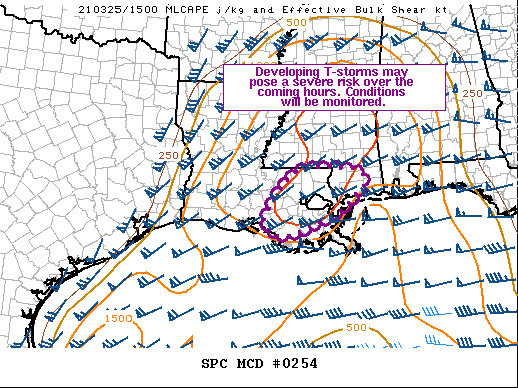 Mesoscale Discussion 254