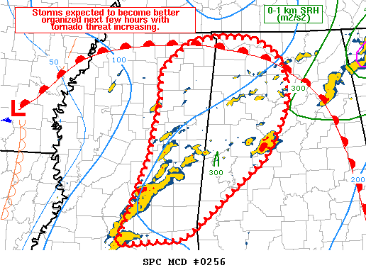 Mesoscale Discussion 256