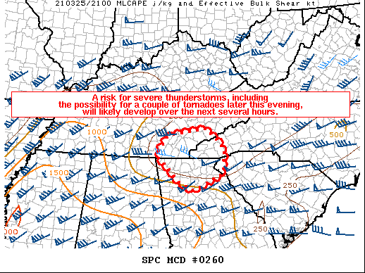 Mesoscale Discussion 260
