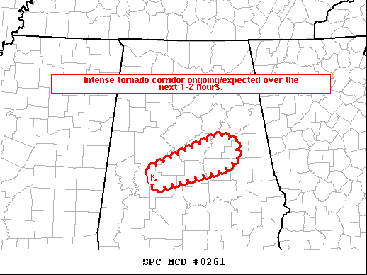 Mesoscale Discussion 261