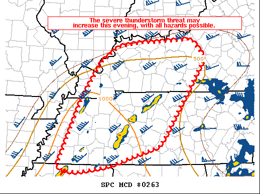 Mesoscale Discussion 263