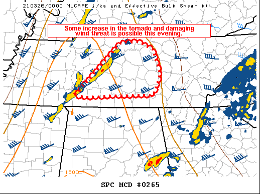 Mesoscale Discussion 265