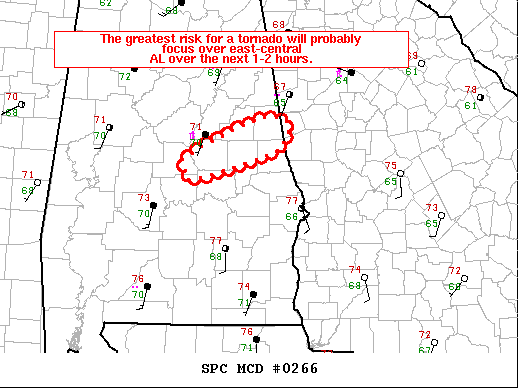 Mesoscale Discussion 266