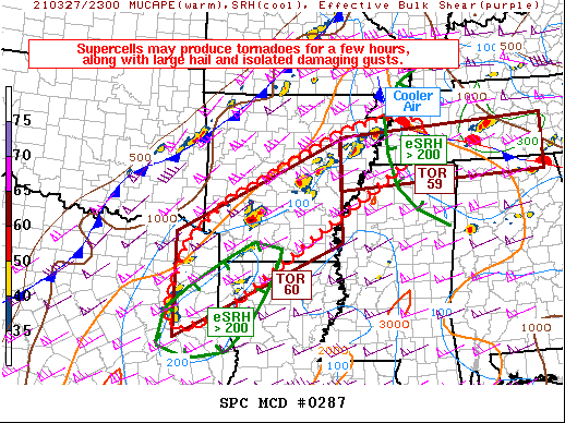 Mesoscale Discussion 287