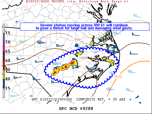 Mesoscale Discussion 288