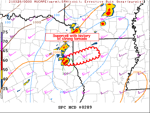 Mesoscale Discussion 289