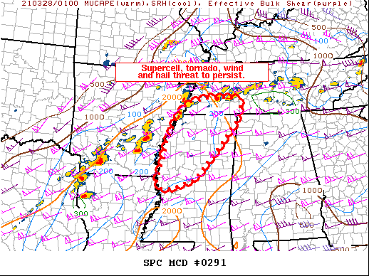 Mesoscale Discussion 291