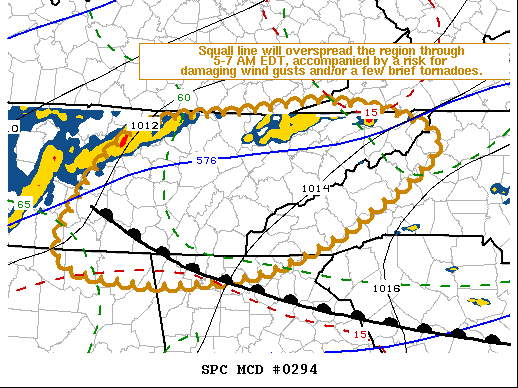 Mesoscale Discussion 294