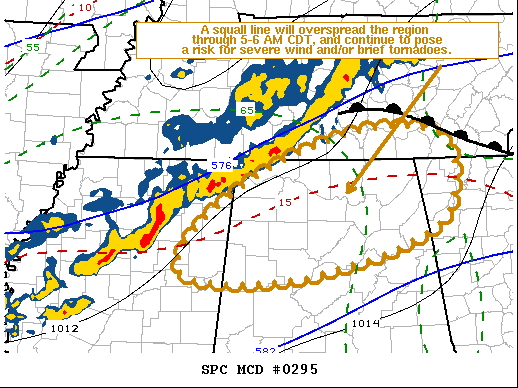 Mesoscale Discussion 295