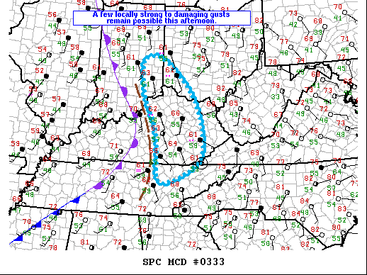 Mesoscale Discussion 333