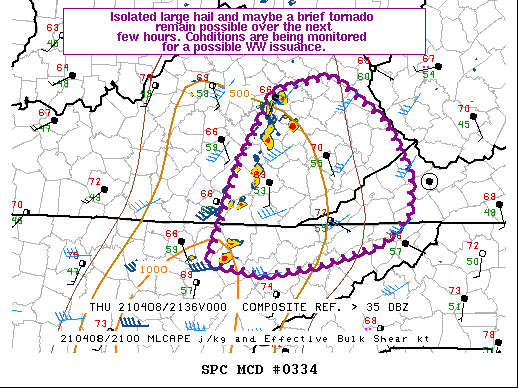 Mesoscale Discussion 334