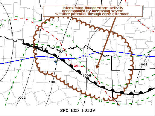 Mesoscale Discussion 339