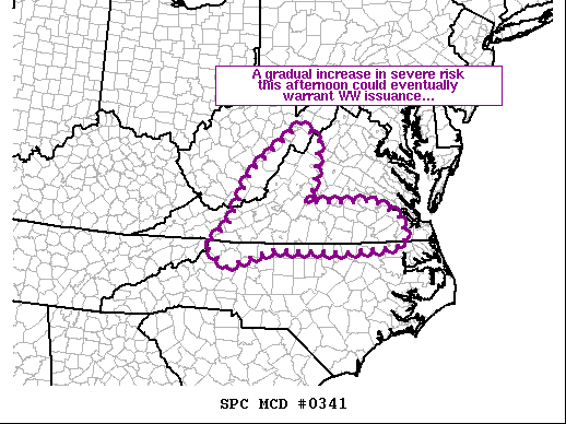 Mesoscale Discussion 341