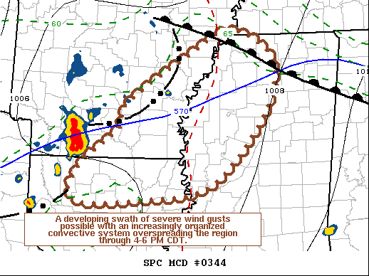 Mesoscale Discussion 344