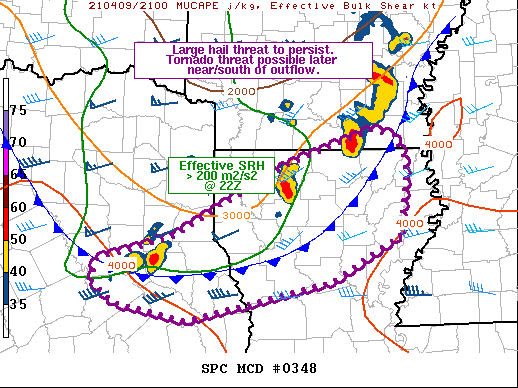 Mesoscale Discussion 348