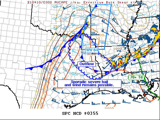 Mesoscale Discussion 355