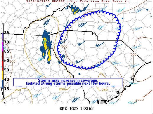 Mesoscale Discussion 363