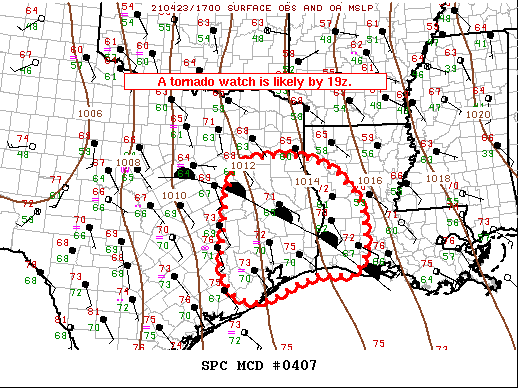 Mesoscale Discussion 407