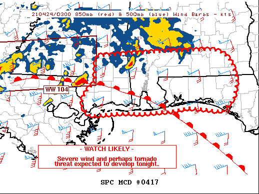 Mesoscale Discussion 417
