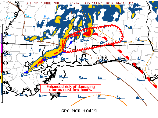 Mesoscale Discussion 419