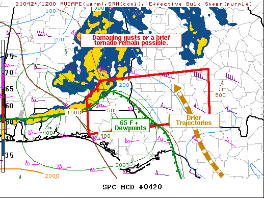 Mesoscale Discussion 420