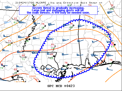 Mesoscale Discussion 423