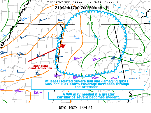 Mesoscale Discussion 424