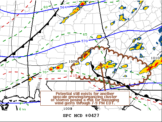Mesoscale Discussion 427