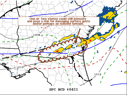 Mesoscale Discussion 431