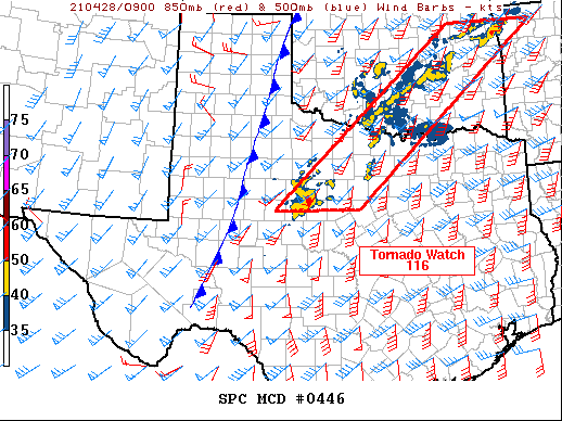 Mesoscale Discussion 446