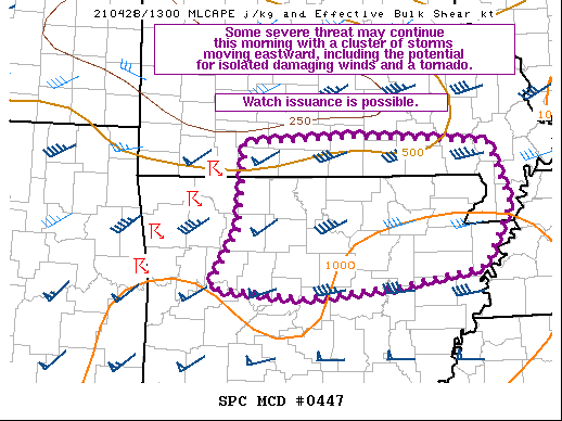 Mesoscale Discussion 447