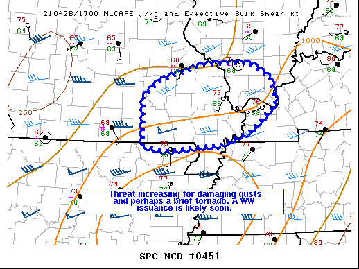 Mesoscale Discussion 451