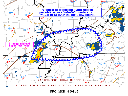 Mesoscale Discussion 454