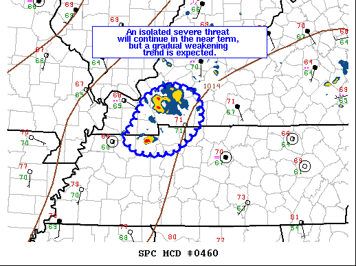 Mesoscale Discussion 460