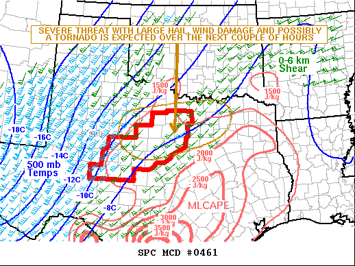 Mesoscale Discussion 461