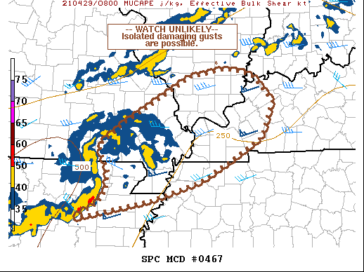 Mesoscale Discussion 467