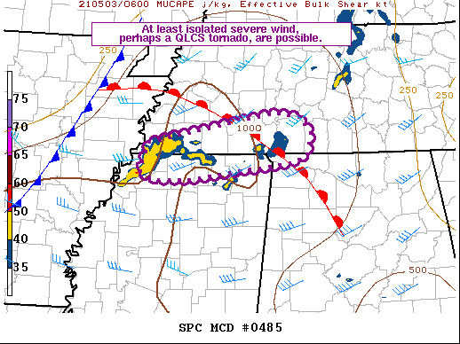 Mesoscale Discussion 485