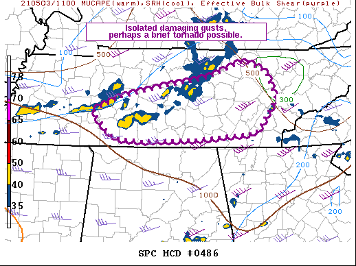 Mesoscale Discussion 486