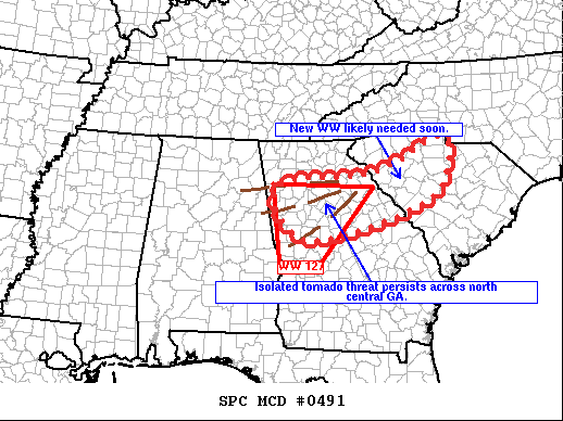 Mesoscale Discussion 491