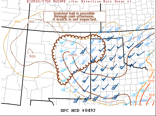 Mesoscale Discussion 492