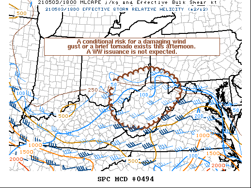 Mesoscale Discussion 494