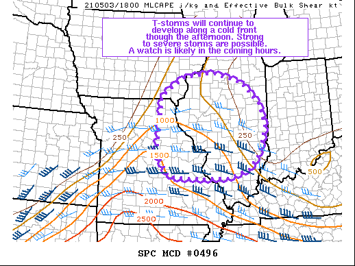 Mesoscale Discussion 496
