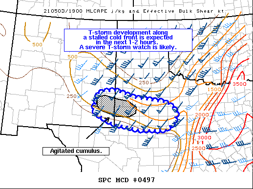 Mesoscale Discussion 497