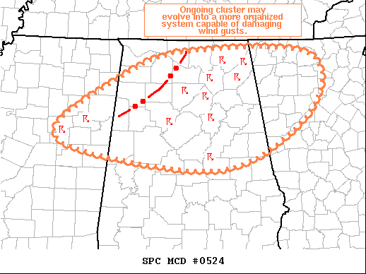 Mesoscale Discussion 524