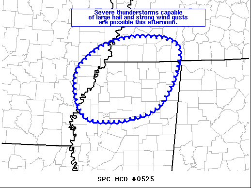 Mesoscale Discussion 525