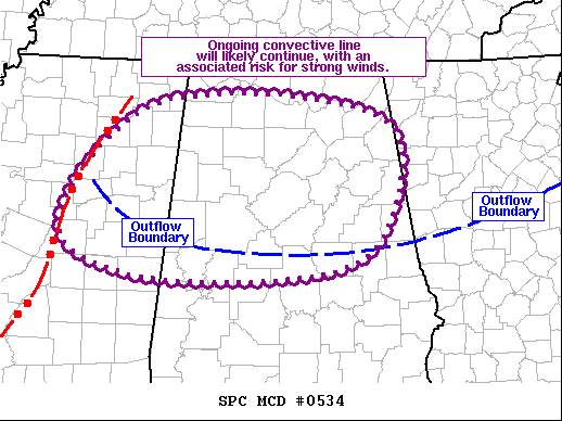 Mesoscale Discussion 534